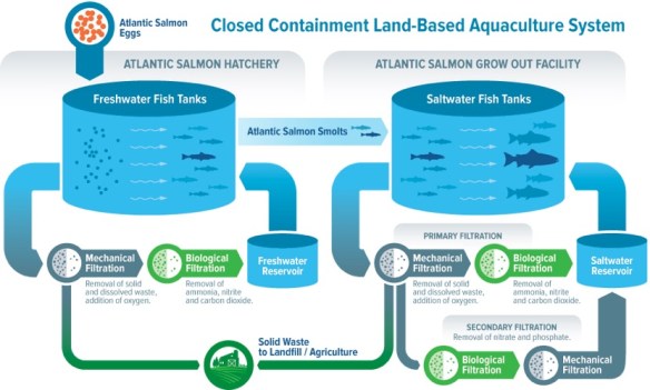 Closed containment land-based aquaculture
