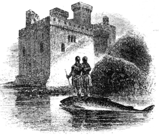 salmon shouldering arms